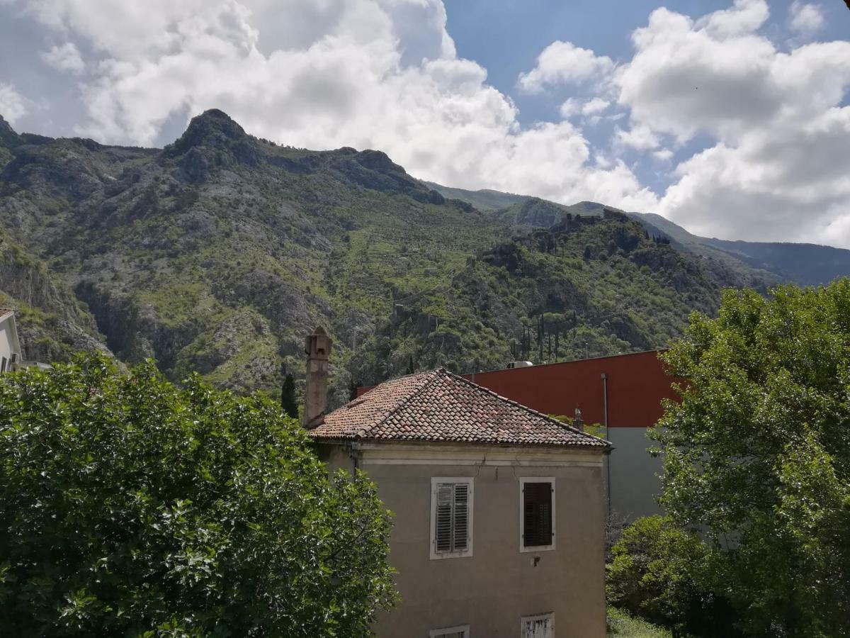 Apartment Nikolic Kotor Exteriér fotografie